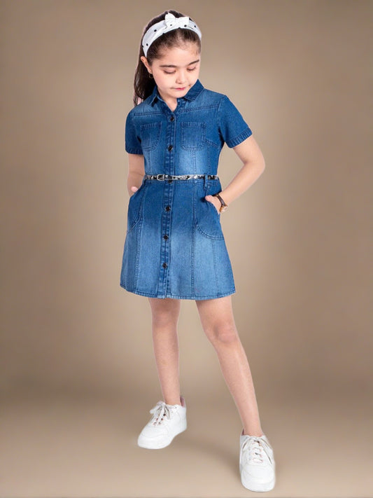 Blue Pure Cotton Shirt Style Dress 1080