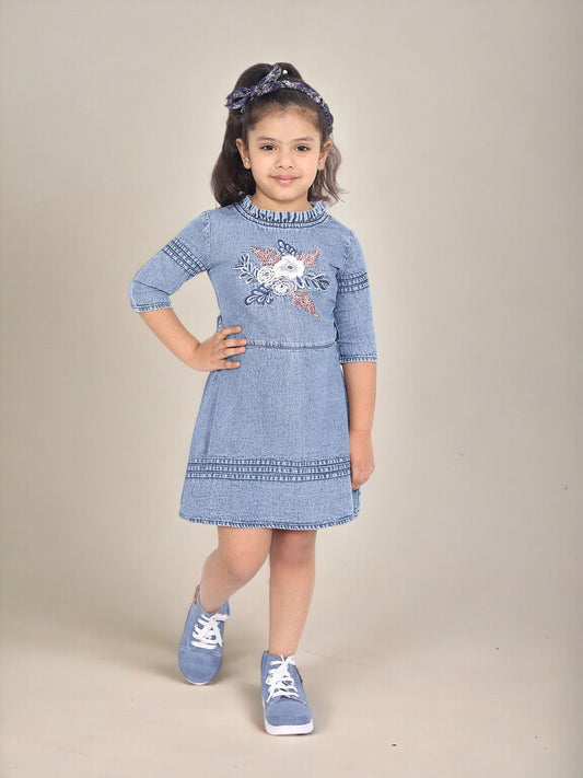 Denim Embroidered Fit and Flare Dress 1080