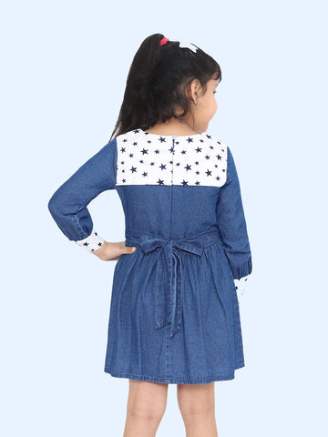 Denim Fit and Flare Dress